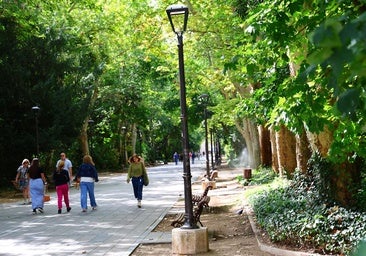 Cuando el Campo Grande era campo en Valladolid