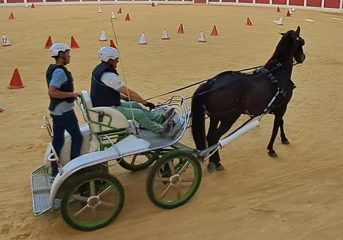 Imagen principal - Alejandra Mingo se erige en protagonista de la Copa Diputación de Valladolid de Doma Vaquera
