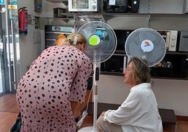 Unas clientas se interesan por unos ventiladores en una tienda de la capital segoviana.