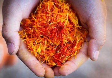 Azafrán, más que un colorante