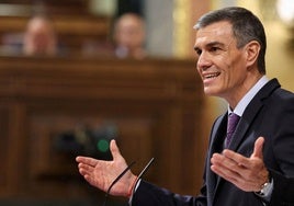 El presidente del Gobierno, Pedro Sánchez, interviene durante el pleno extraordinario este miércoles, en el Congreso.