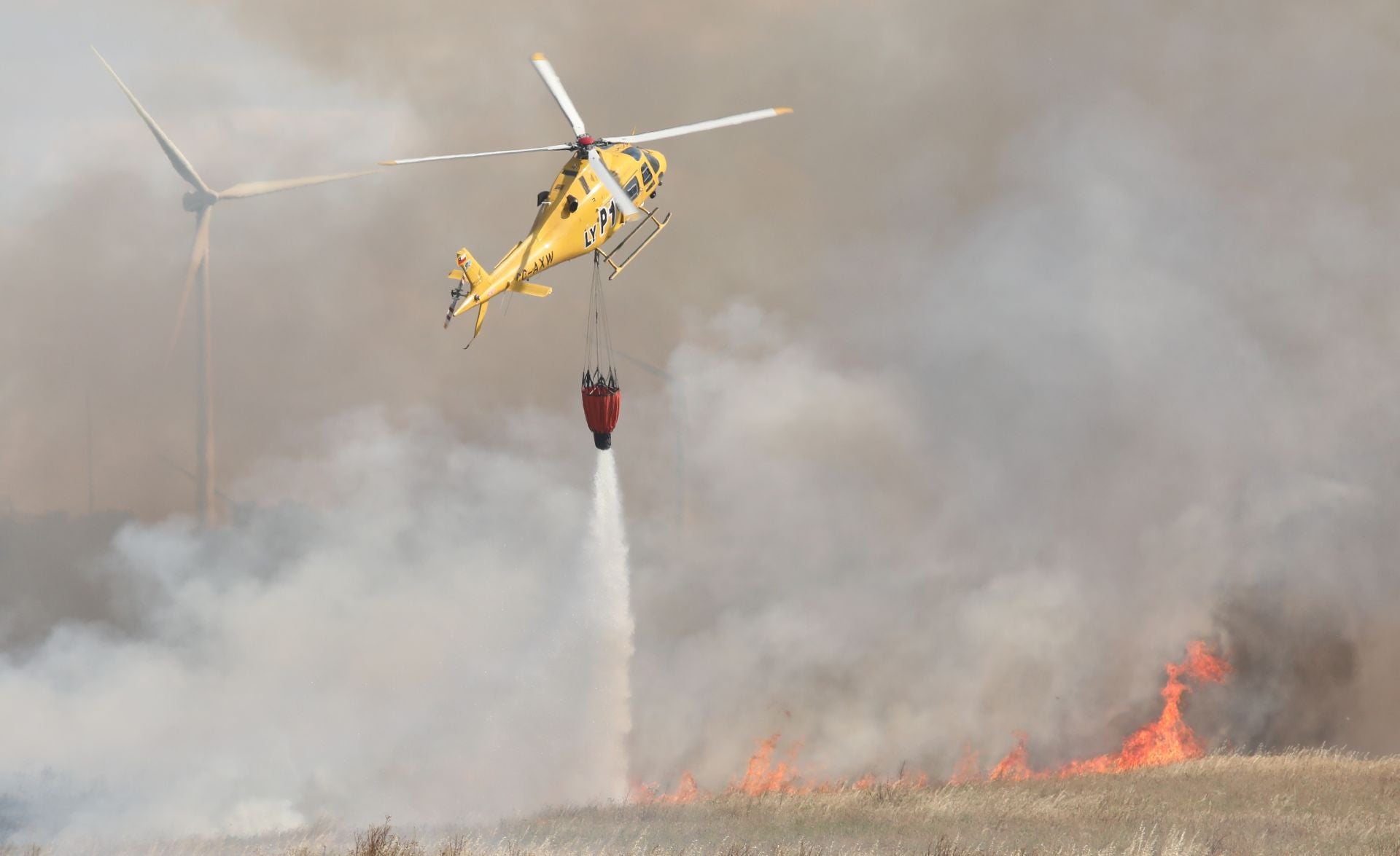 Así ha sido el incendio en las tierras agrícolas de Villalobón