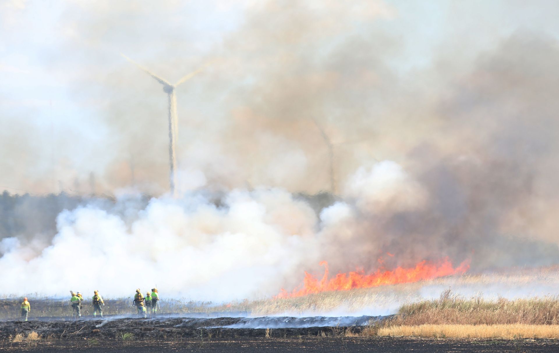 Así ha sido el incendio en las tierras agrícolas de Villalobón