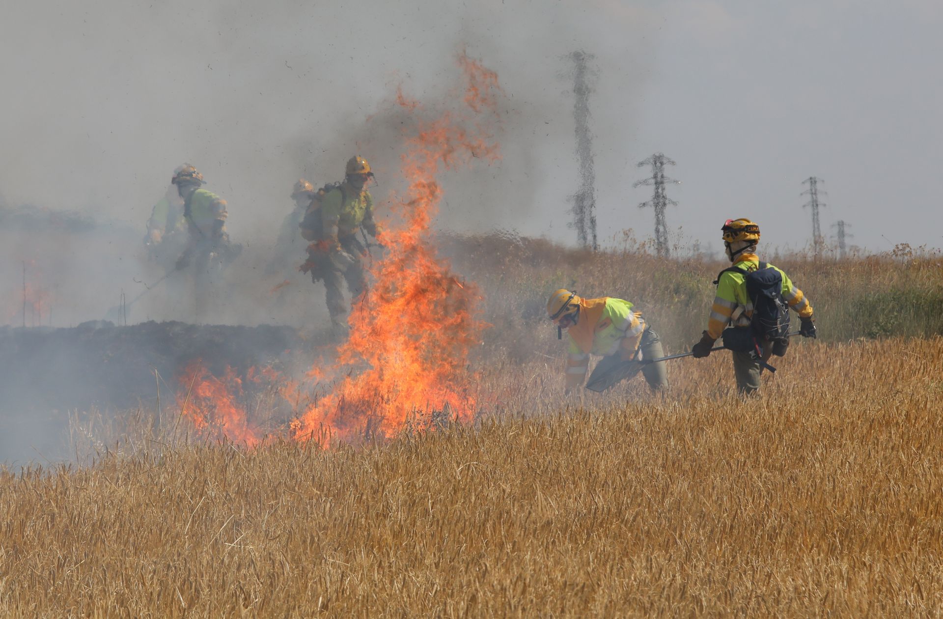 Así ha sido el incendio en las tierras agrícolas de Villalobón