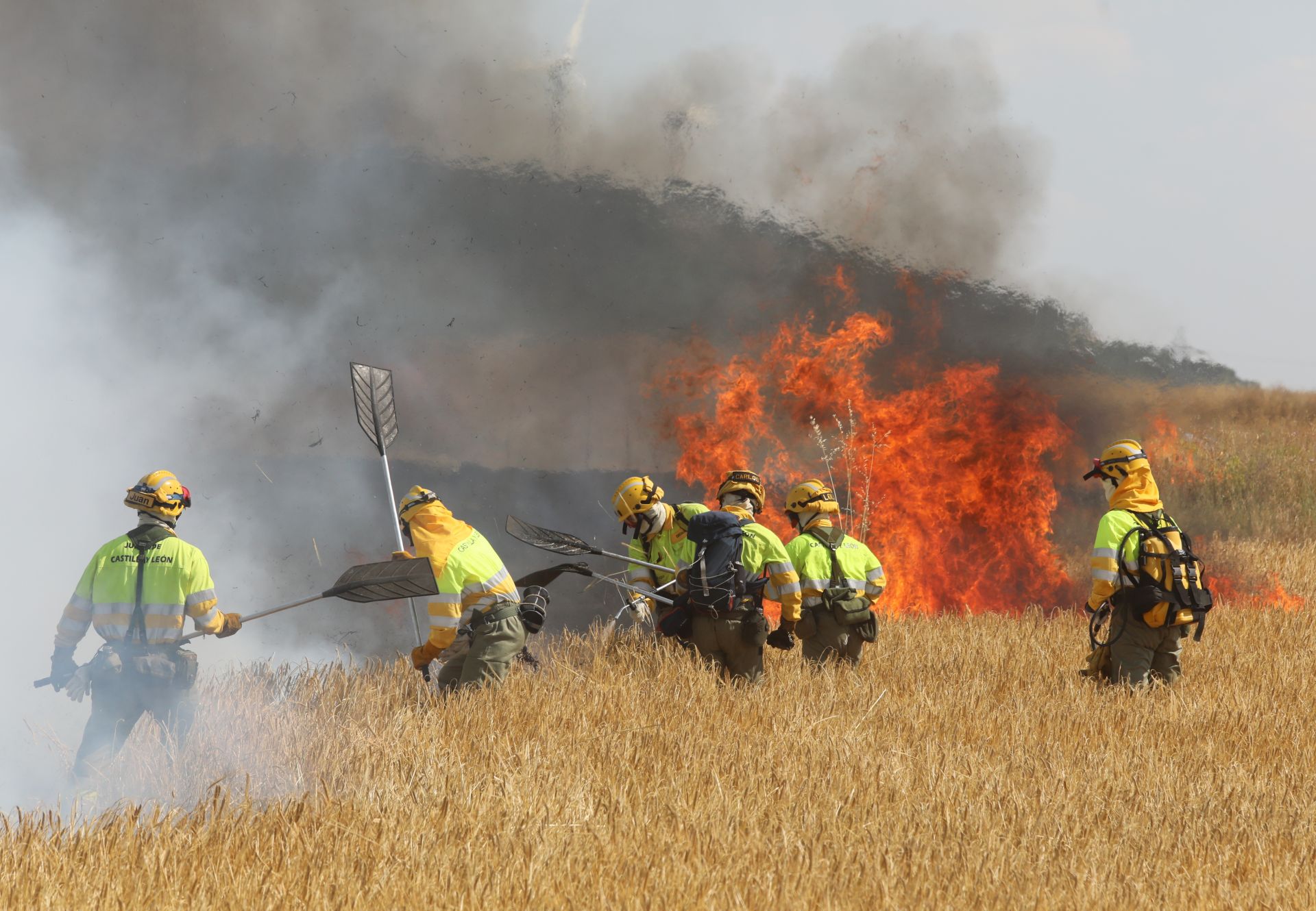 Así ha sido el incendio en las tierras agrícolas de Villalobón