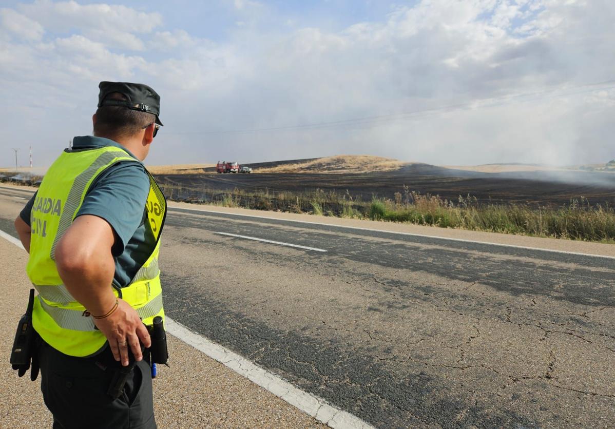 Un agente de la Guardia Civil inspecciona el terreno calcinado.