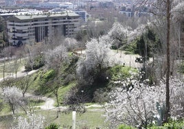 Vista del parque del Mediodía en Parquesol.
