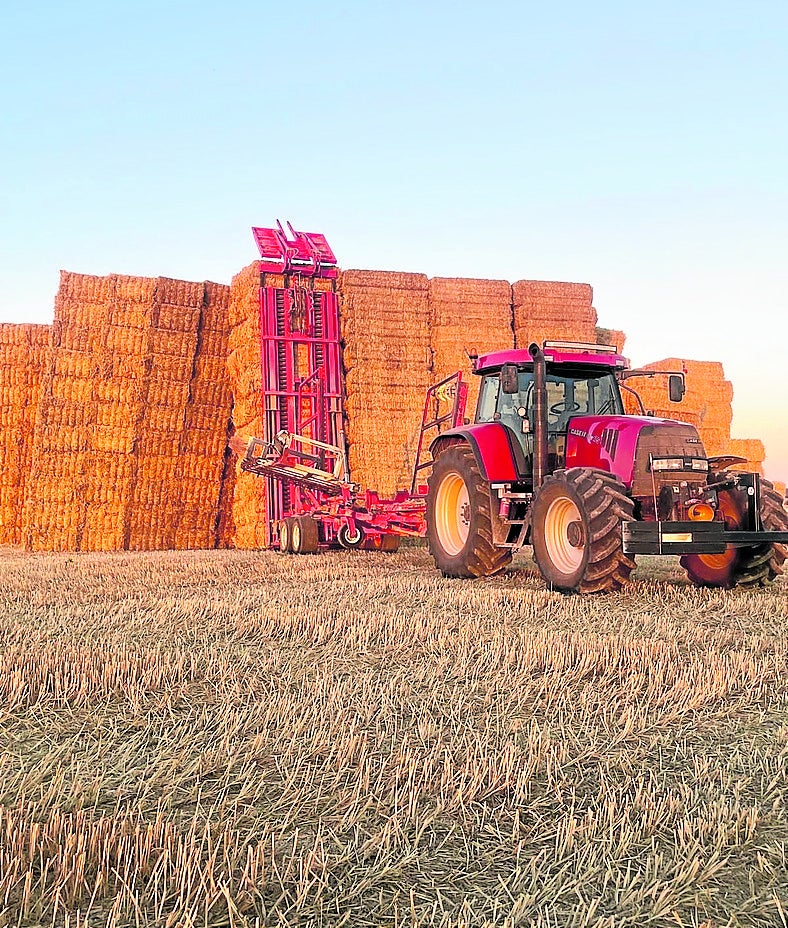 Colocación de pacas de paja en una parcela de Medina de Rioseco.