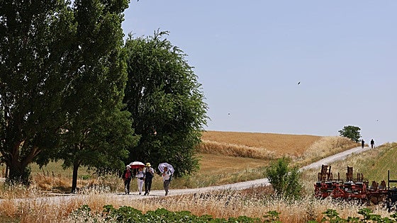 Cervatos de la Cueza: Un futuro que apuesta por las raíces, el patrimonio y el compromiso