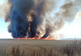 Las llamas avanzan por las tierras de cultivo.
