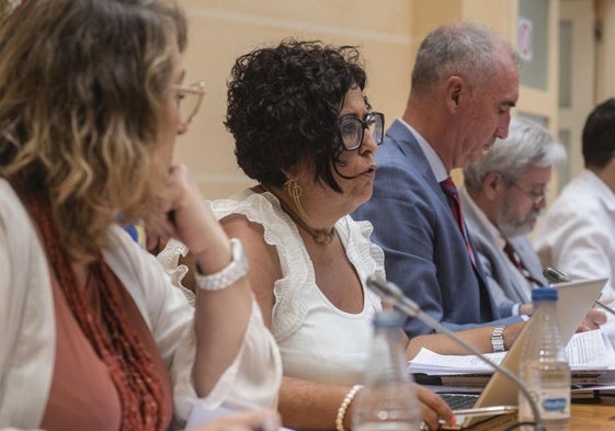 Rosalía Serrano, durante un Pleno del Ayuntamiento de Segovia.