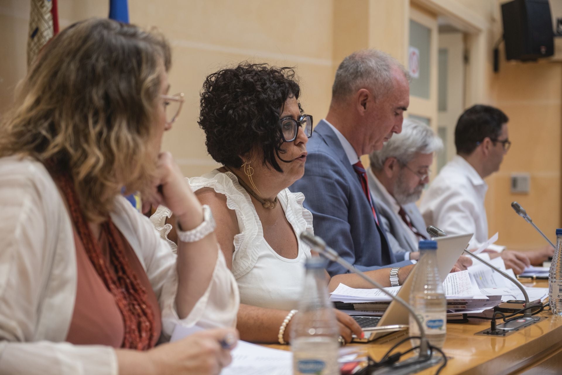 Rosalía Serrano, durante un Pleno del Ayuntamiento de Segovia.