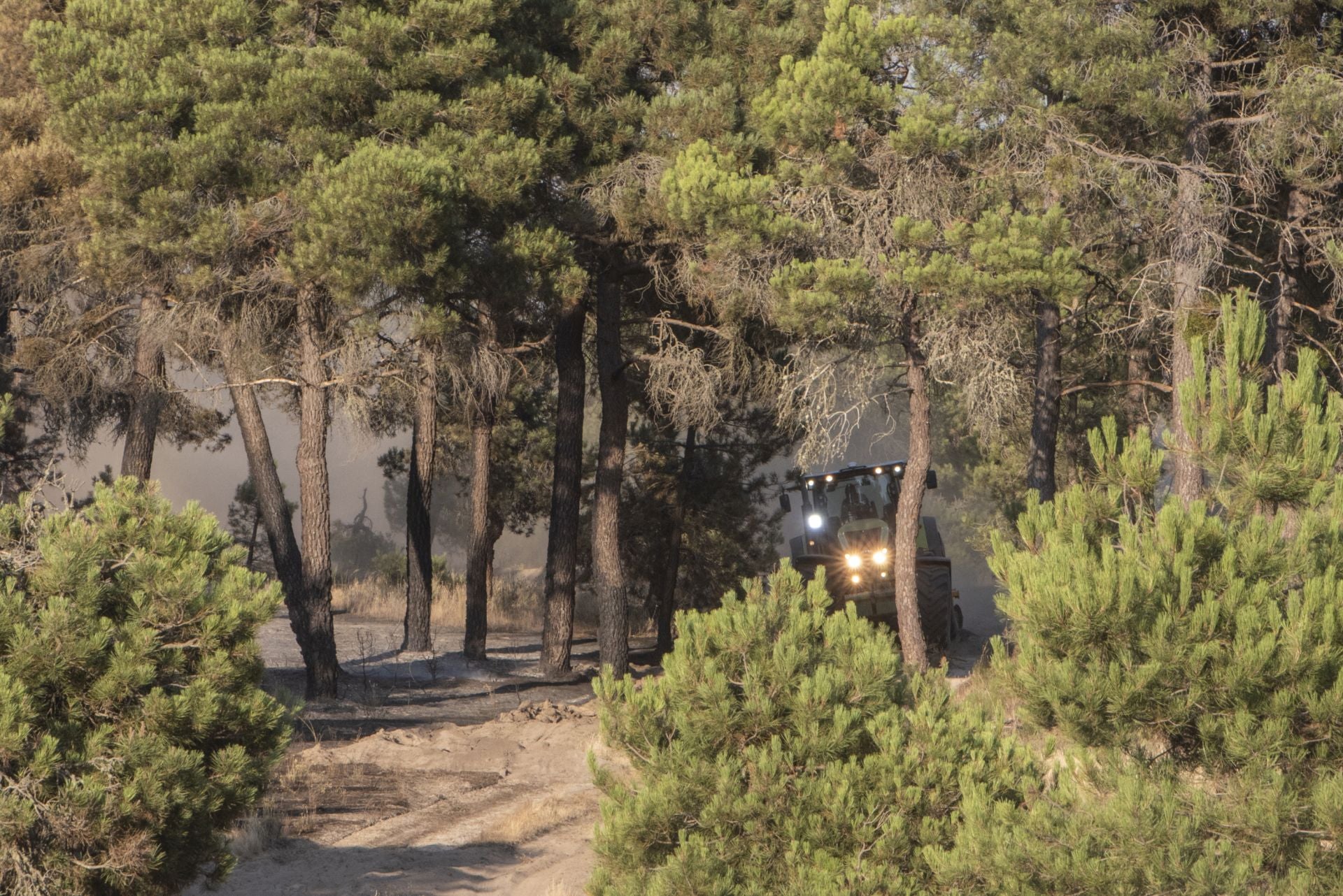 Fotos de los trabajos de extinción del incendio en Cuéllar