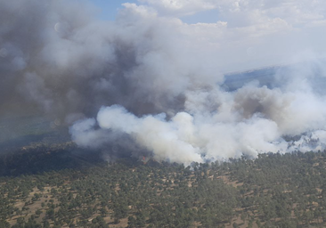 Un incendio en Cuéllar arrasa más de 40 hectáreas y se acerca a una gran masa arbórea