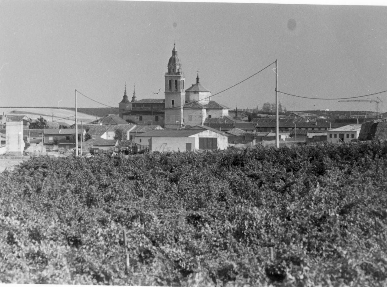 Viñedos en primer plano y el pueblo de Rueda al fondo. 1 de enero de 1990.