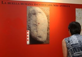 Exposición Tras las huellas de los neandertales en el Museo de Segovia
