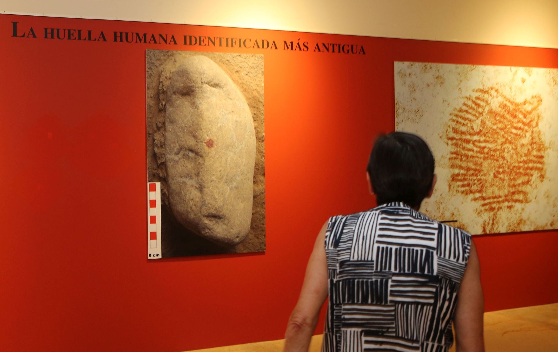 La exposición de la huella más antigua del mundo, en imágenes