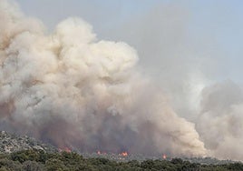 Incendio registrado el viernes en Navaluenga.