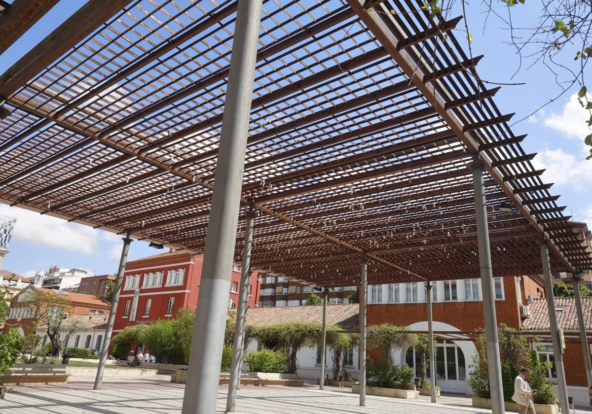 La pérgola, en la que se aprecian los calcetines colgados.