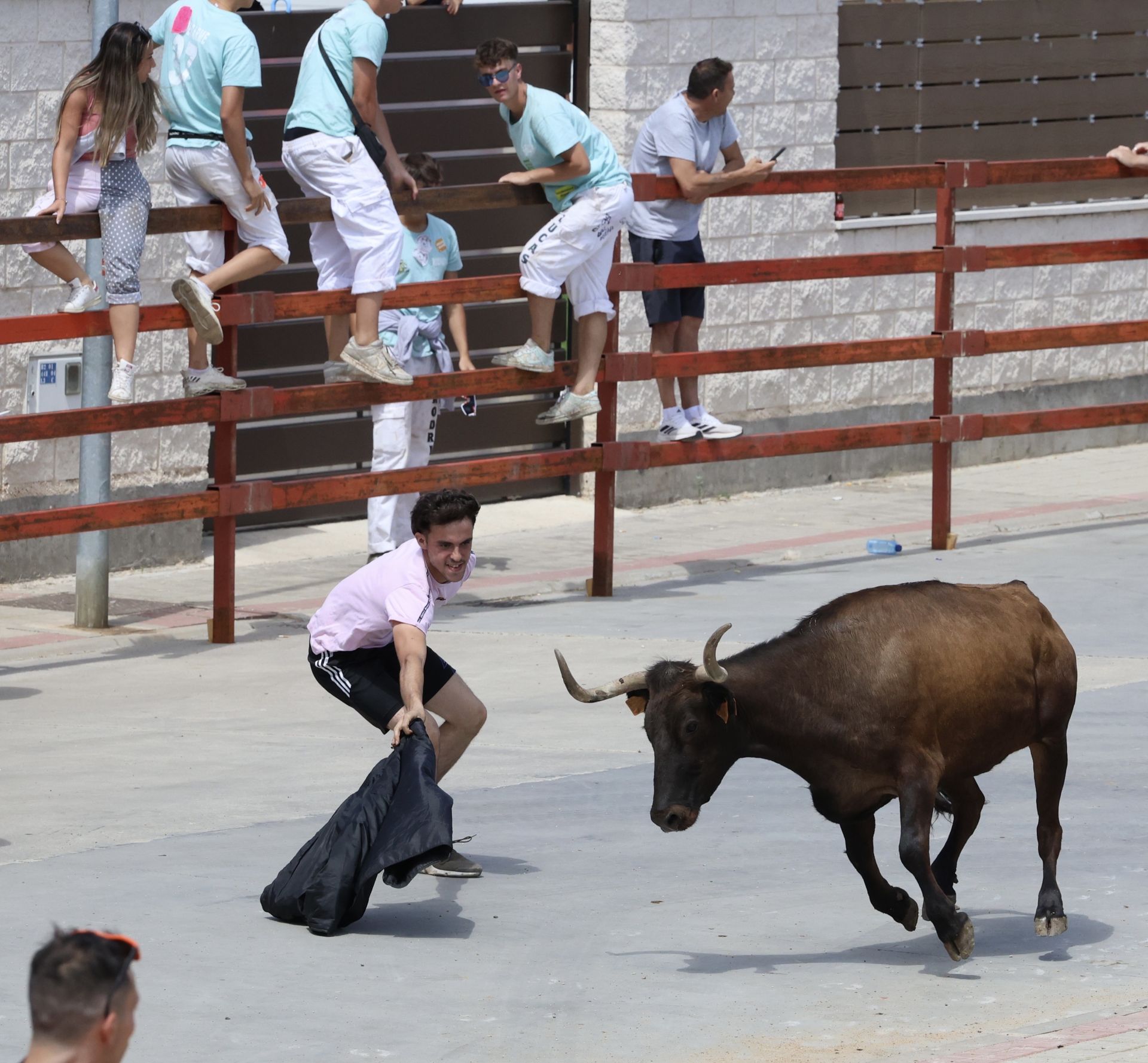 Encierro en las fiestas de Matapozuelos