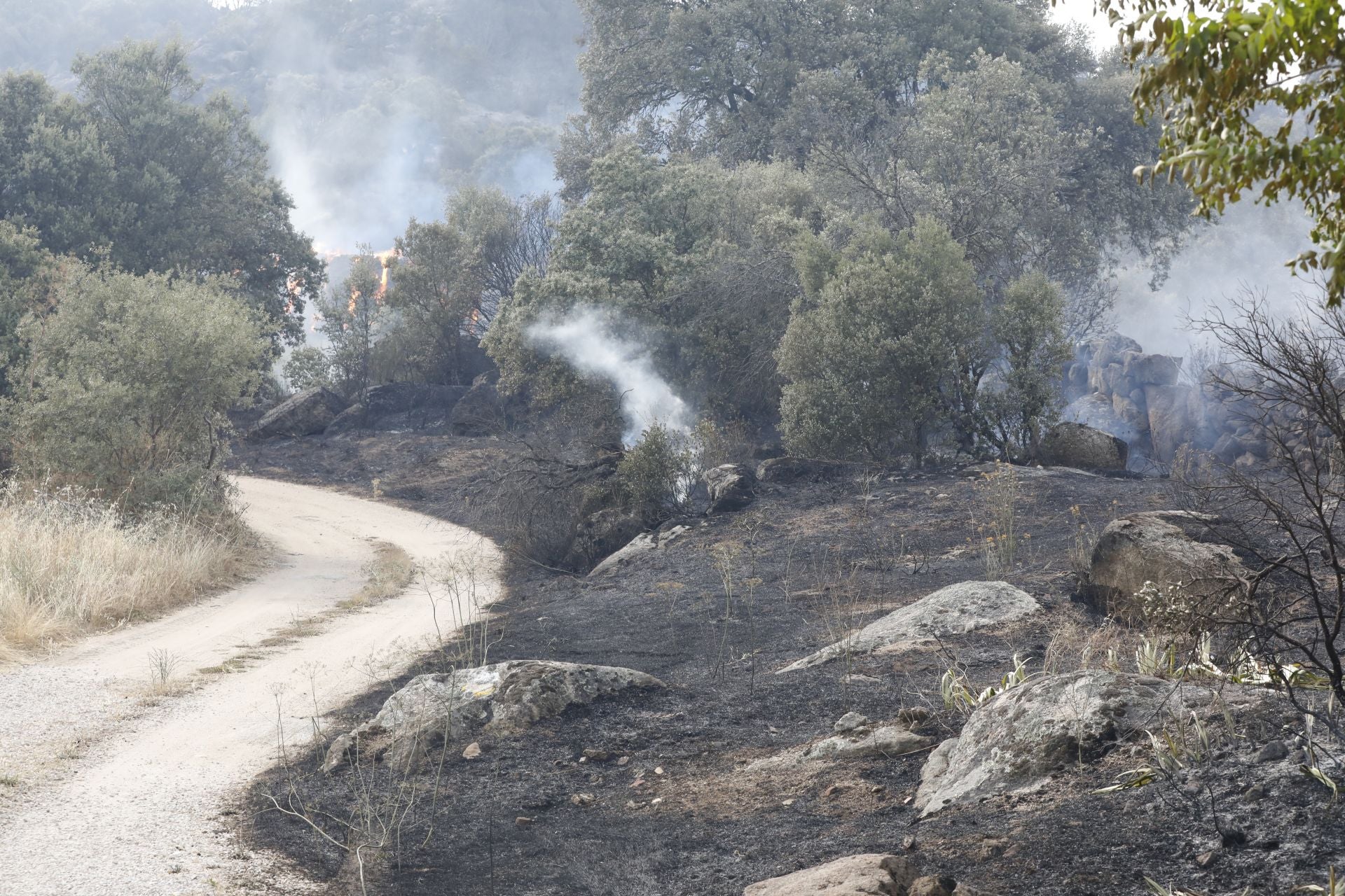 Imágenes del incendio de Navaluenga y los trabajos de extinción