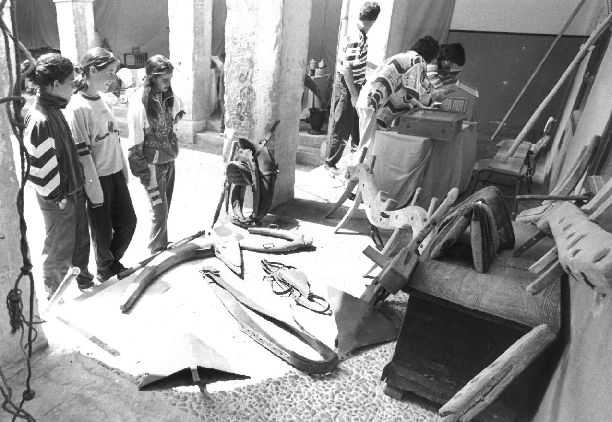 Exposición de aperos.