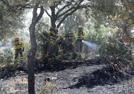 Trabajos de extinción del inciendio de Paredes de Monte, en la zona del Monte el Viejo.