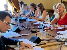 En primer término, Pedro Herrero y enfrente, Irene Carvajal en la Comisión de Cultura.