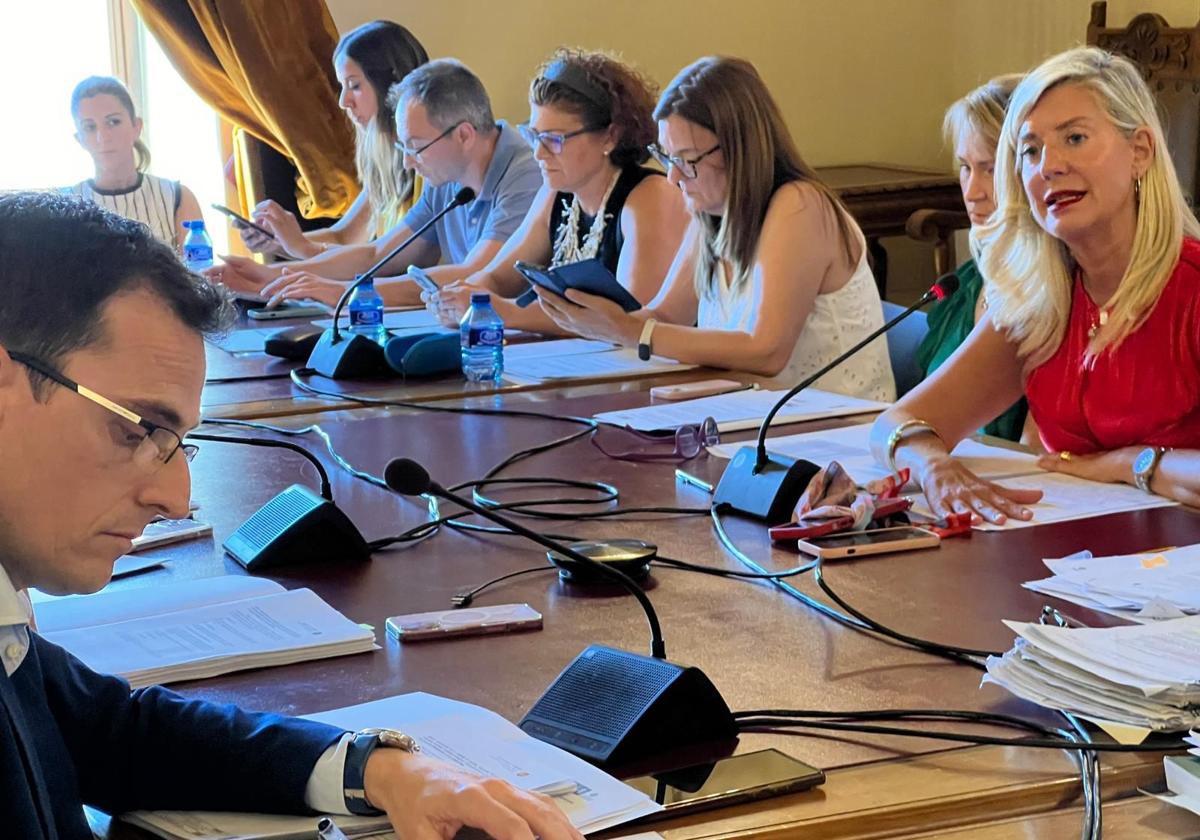En primer término, Pedro Herrero y enfrente, Irene Carvajal en la Comisión de Cultura.