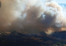 Incendio en Quintana del Castillo.