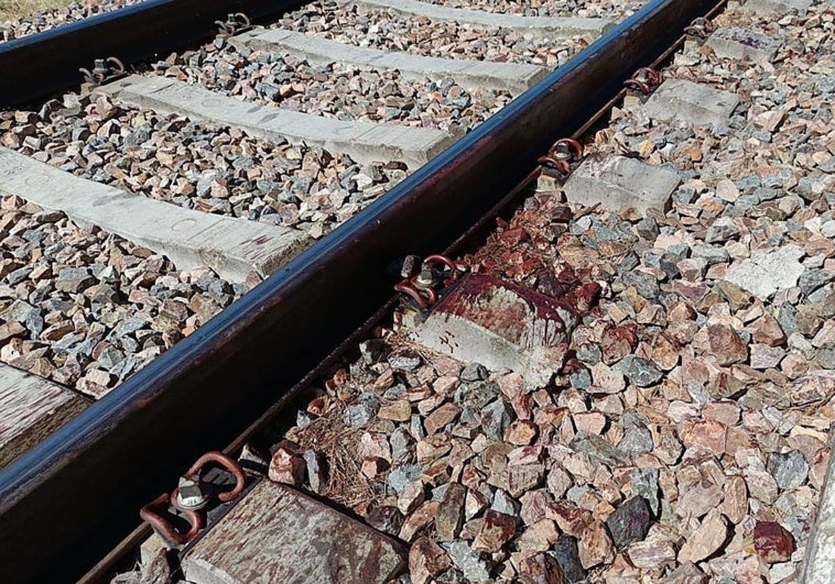 Pistas y lagunas del atropello mortal por un tren en Salamanca: un reguero de sangre, Viogen y una discrepancia