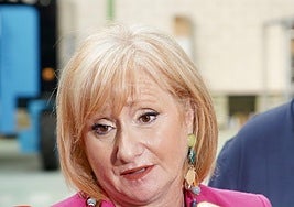 La consejera de Industria, Comercio y Empleo, Leticia García, hace unos días.