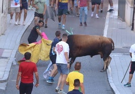 Imágenes del encierro del toro del Fogato celebrado este jueves en Tudela de Duero
