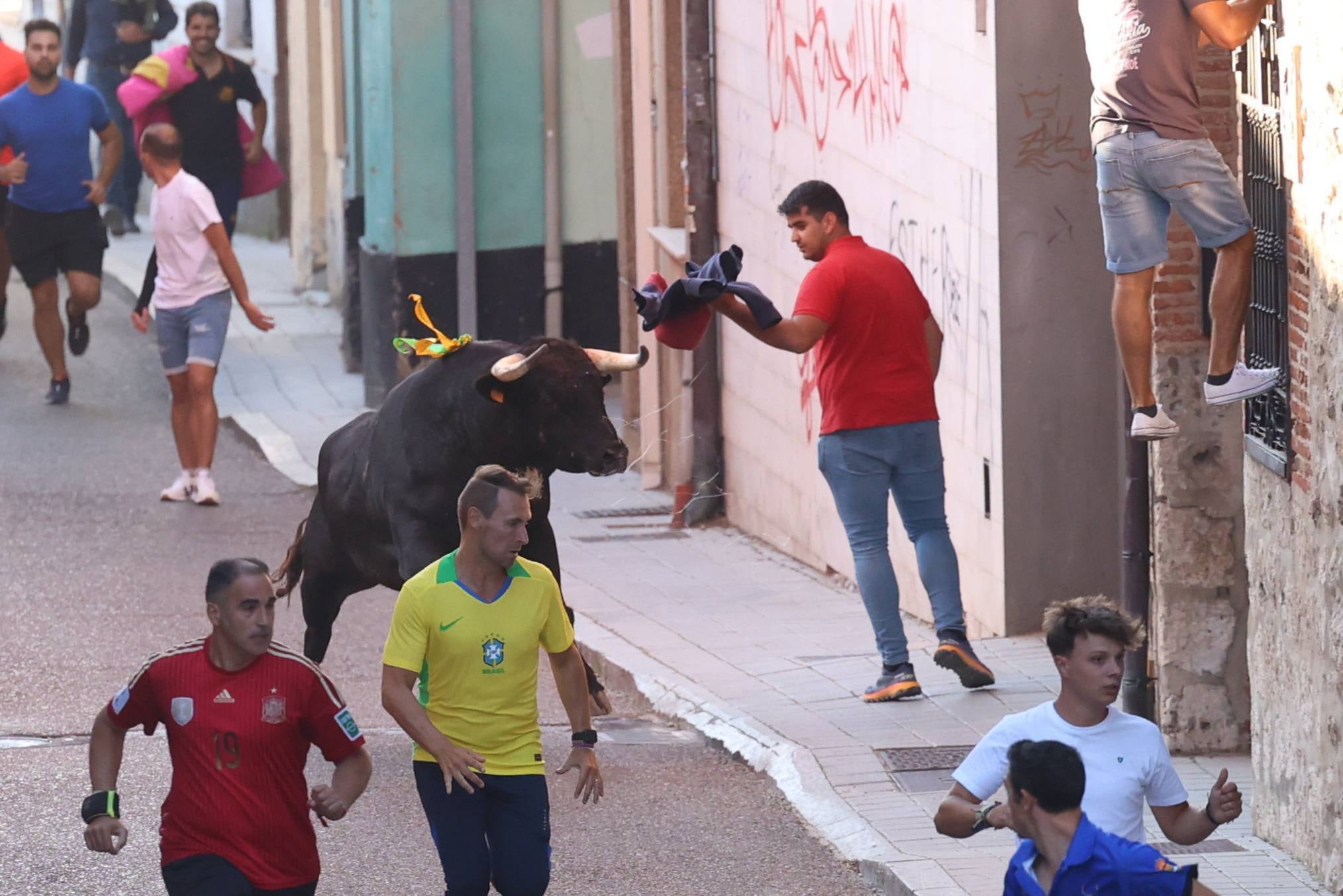 El toro del Fogato de Tudela, en imágenes
