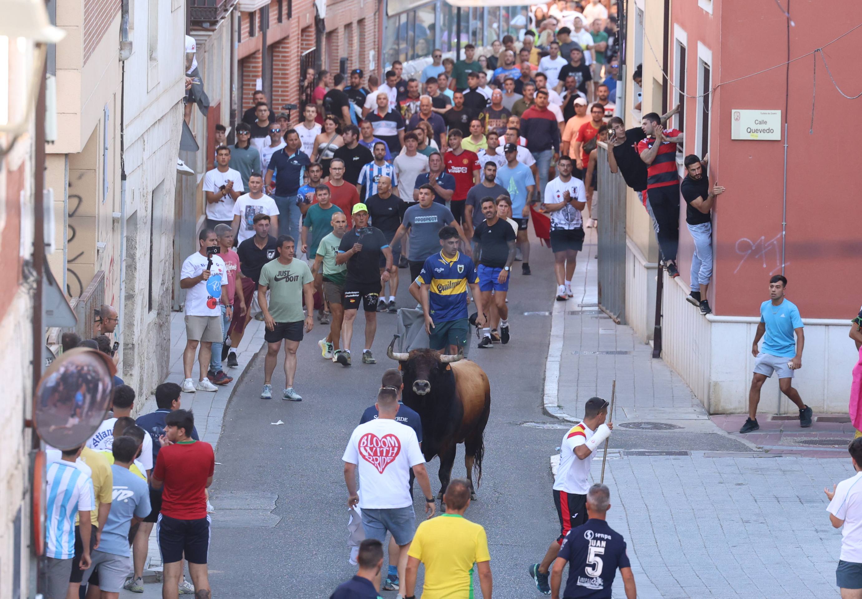 El toro del Fogato de Tudela, en imágenes