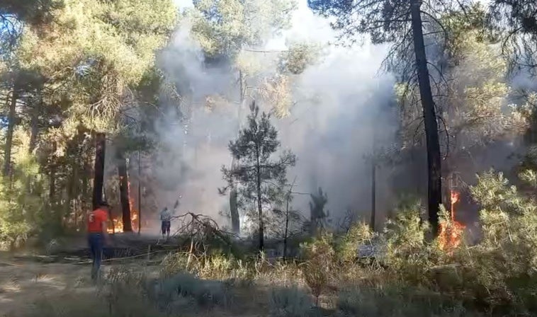 Incendio en un pinar de Coca.