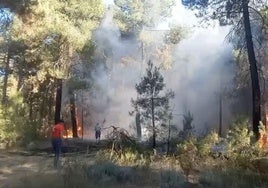 Incendio en un pinar de Coca.