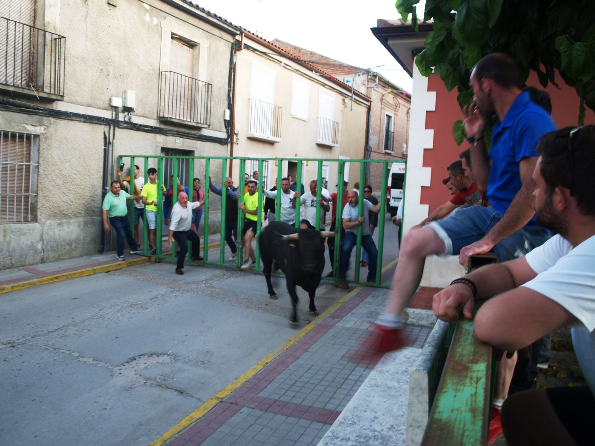 Primer encierro de las fiestas de Alcazarén.