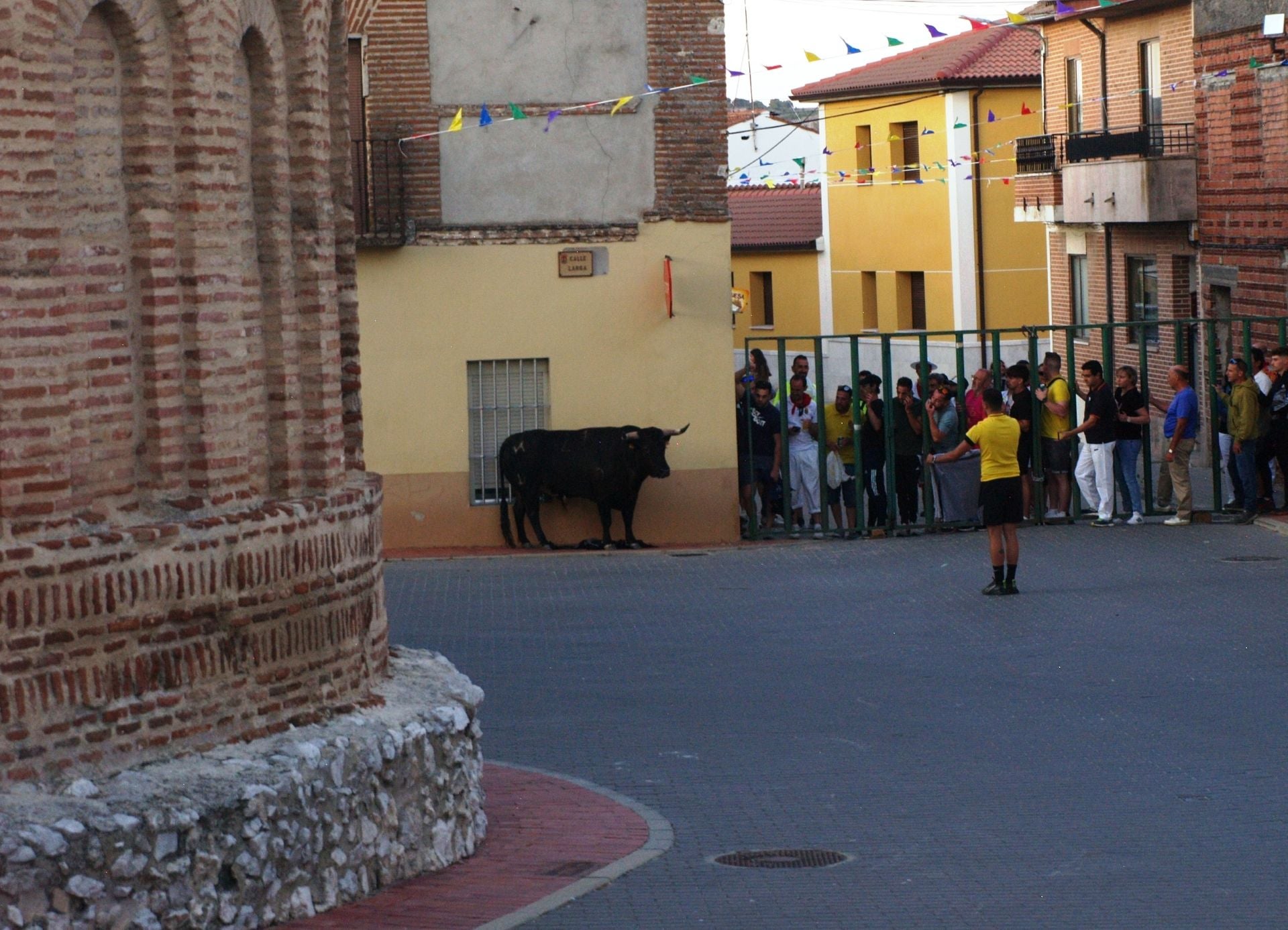 Primer encierro de las fiestas de Alcazarén.