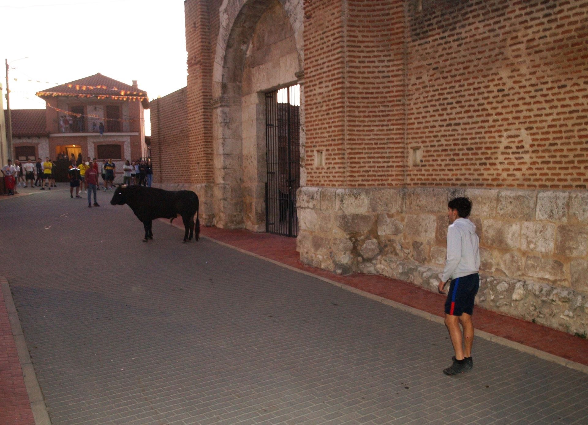 Primer encierro de las fiestas de Alcazarén.