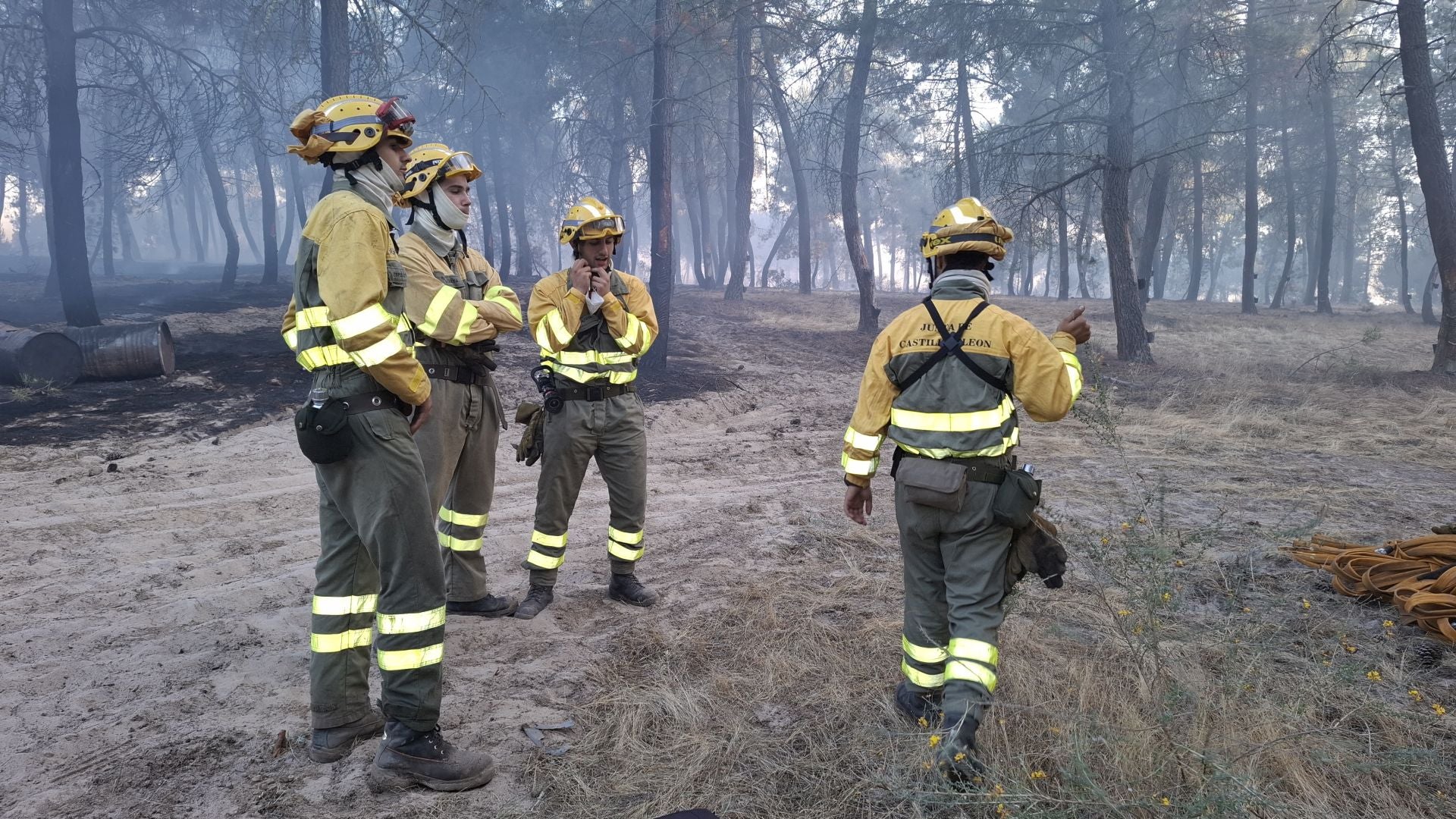 Fotos del incendio en un pinar de Coca