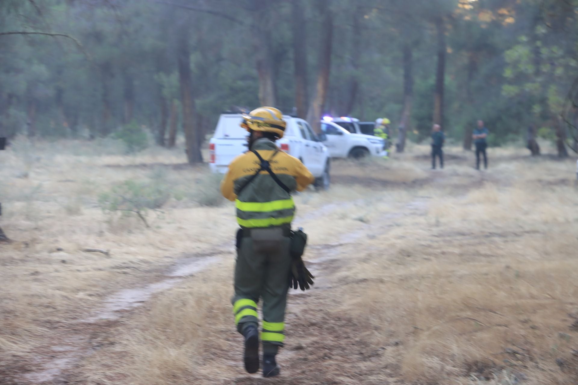 Fotos del incendio en un pinar de Coca