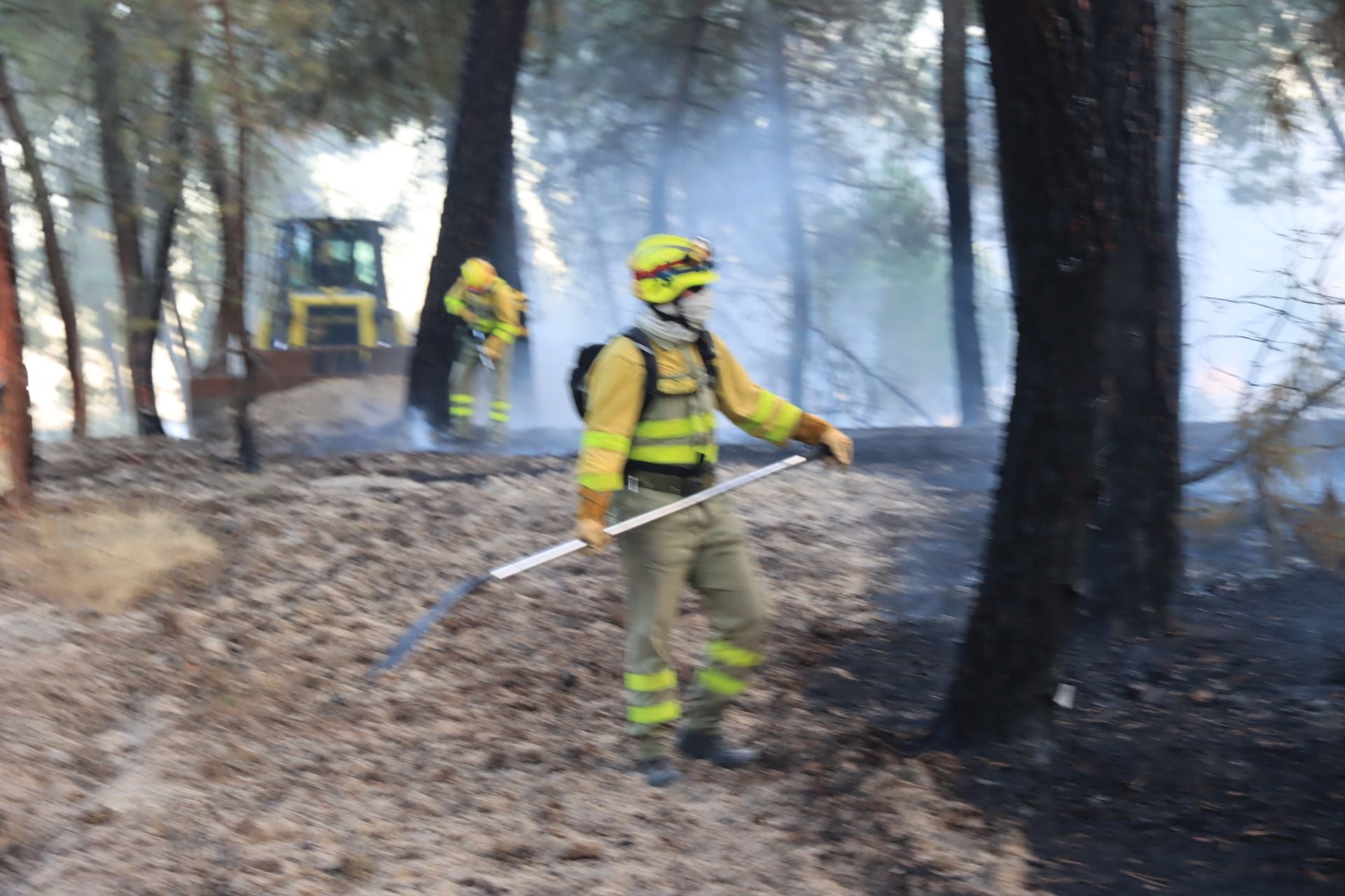 Fotos del incendio en un pinar de Coca