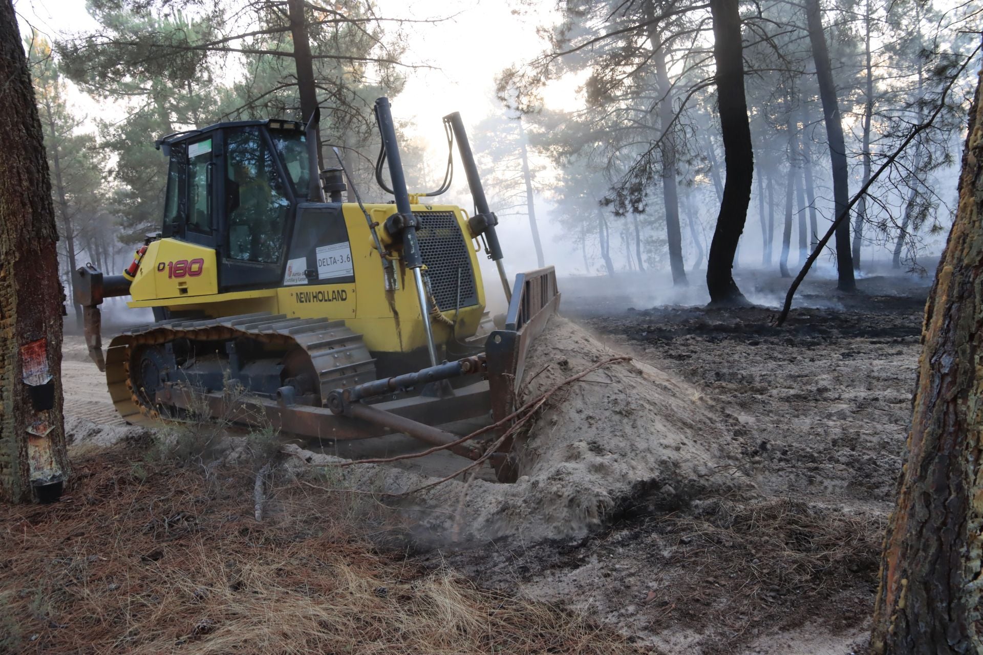 Fotos del incendio en un pinar de Coca