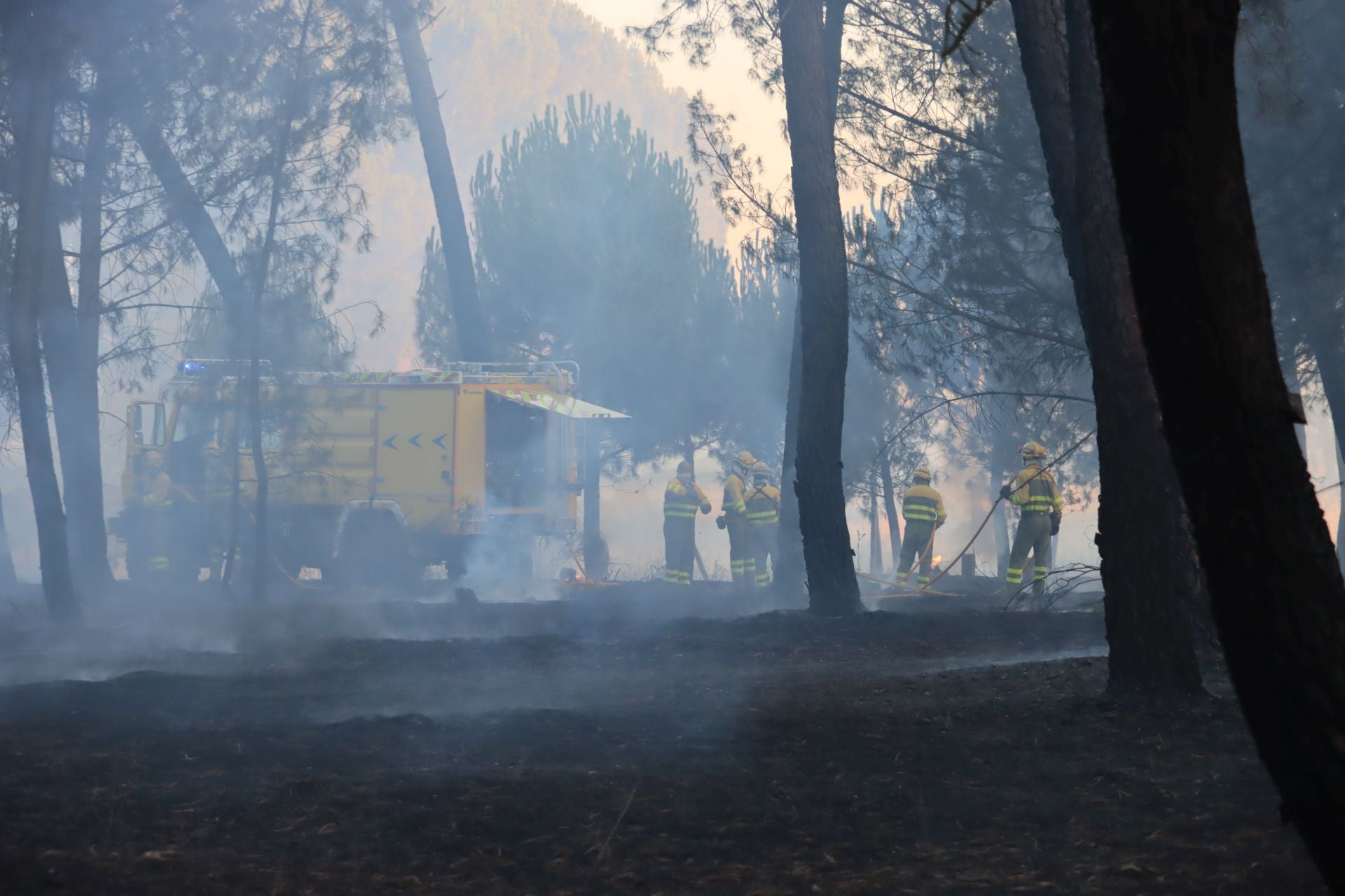 Fotos del incendio en un pinar de Coca