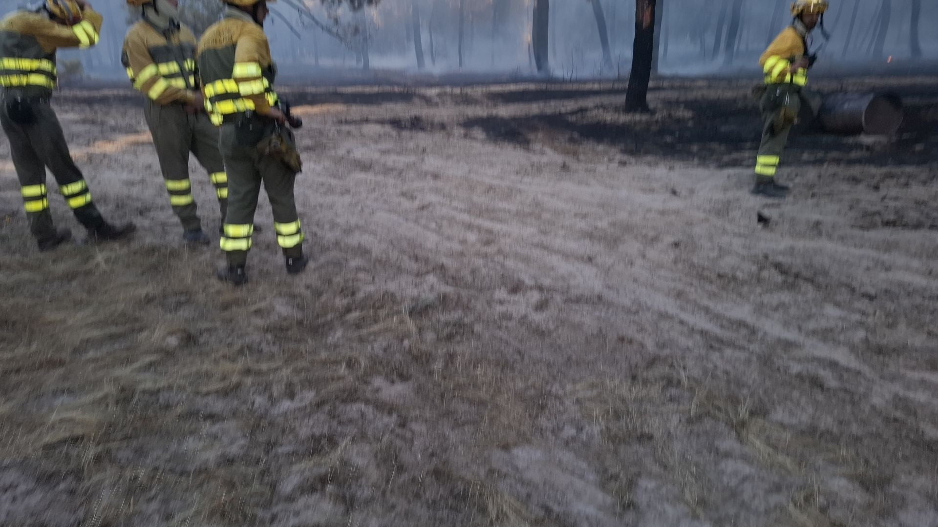 Fotos del incendio en un pinar de Coca