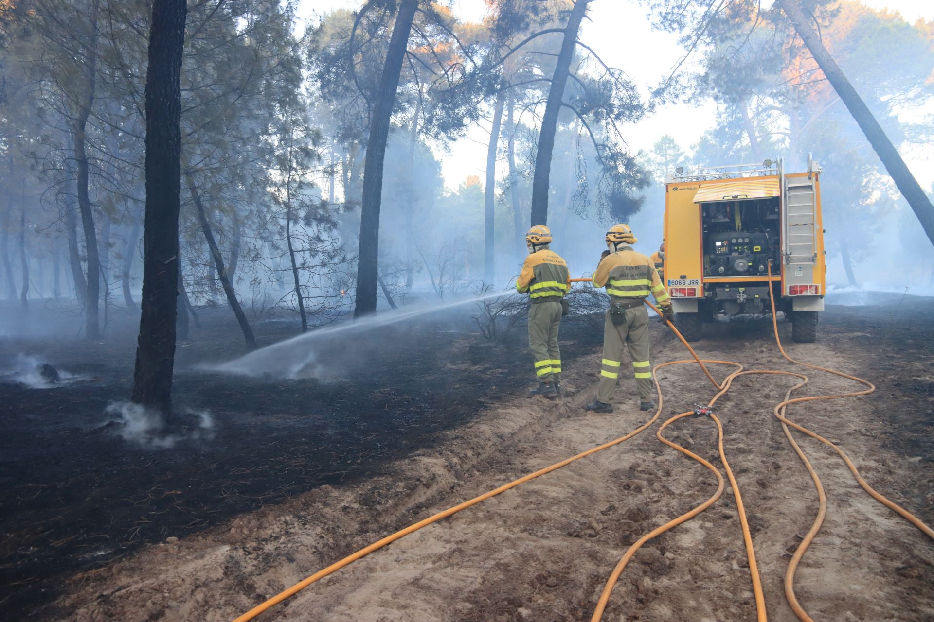 Fotos del incendio en un pinar de Coca