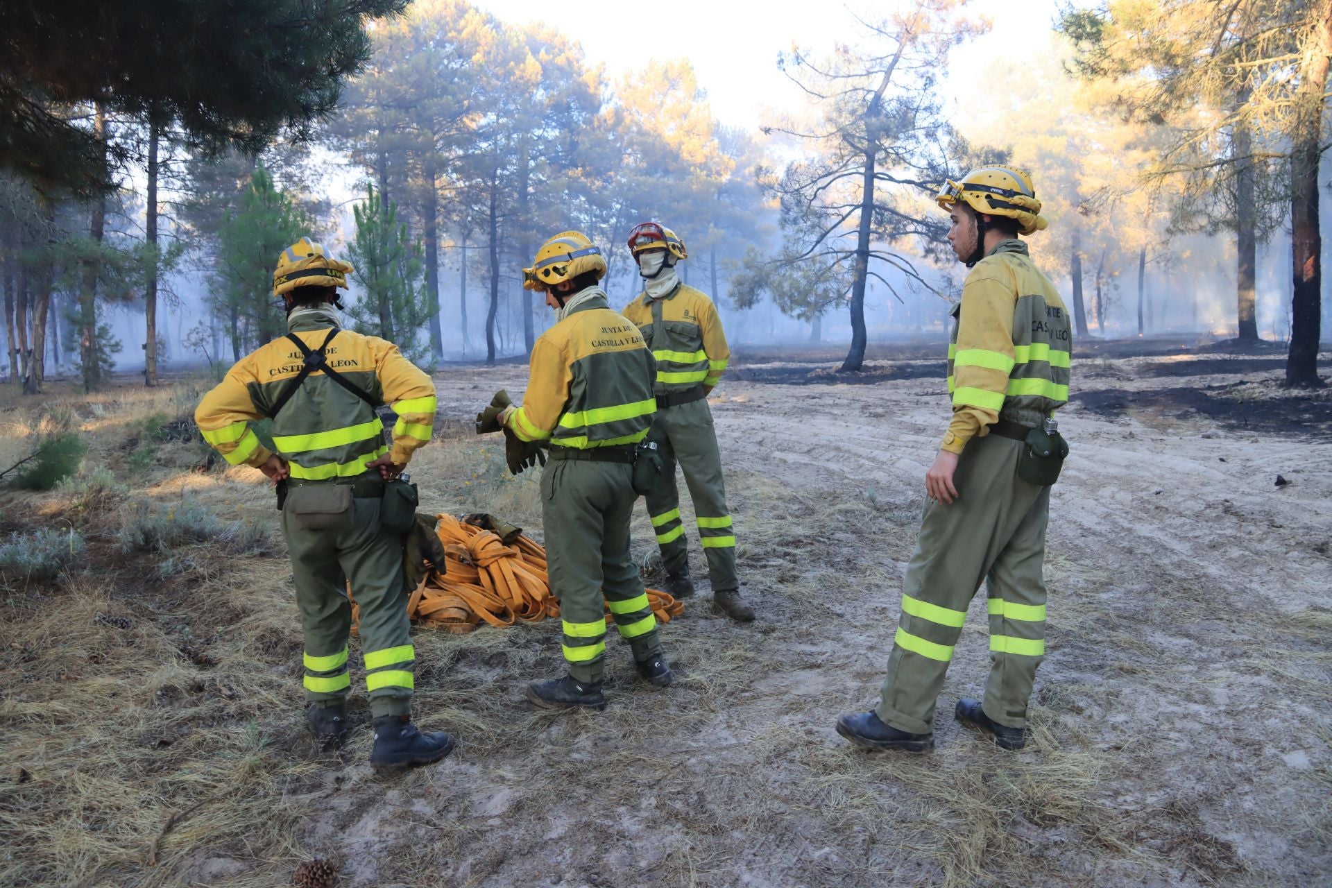 Fotos del incendio en un pinar de Coca