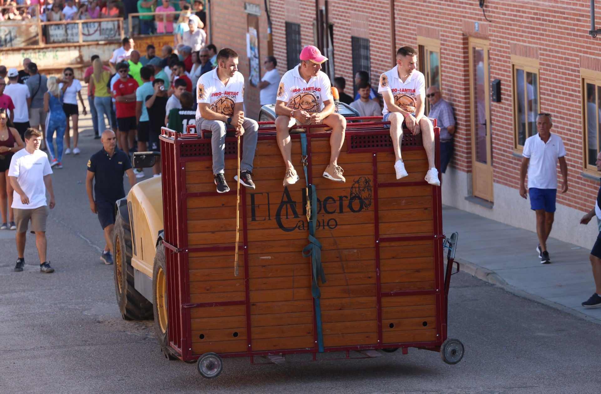 La suelta de toros de Carpio, en imágenes
