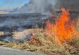Incendio este sábado en Moraleja de Coca.